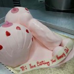 Chicago-Illinois-Big-honking-tities-dick-hands-sexy-cake